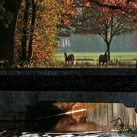 Beerze Brouwerij מלון Vessem