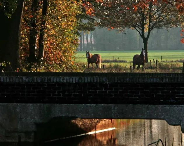 Beerze Brouwerij Hotel Vessem