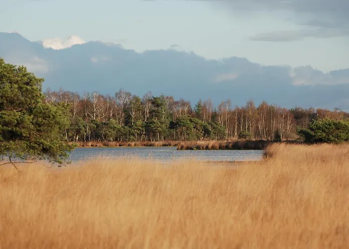 Hotel Beerze Brouwerij Vessem