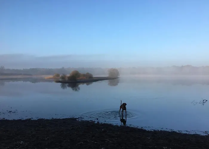 Beerze Brouwerij 4* Vessem